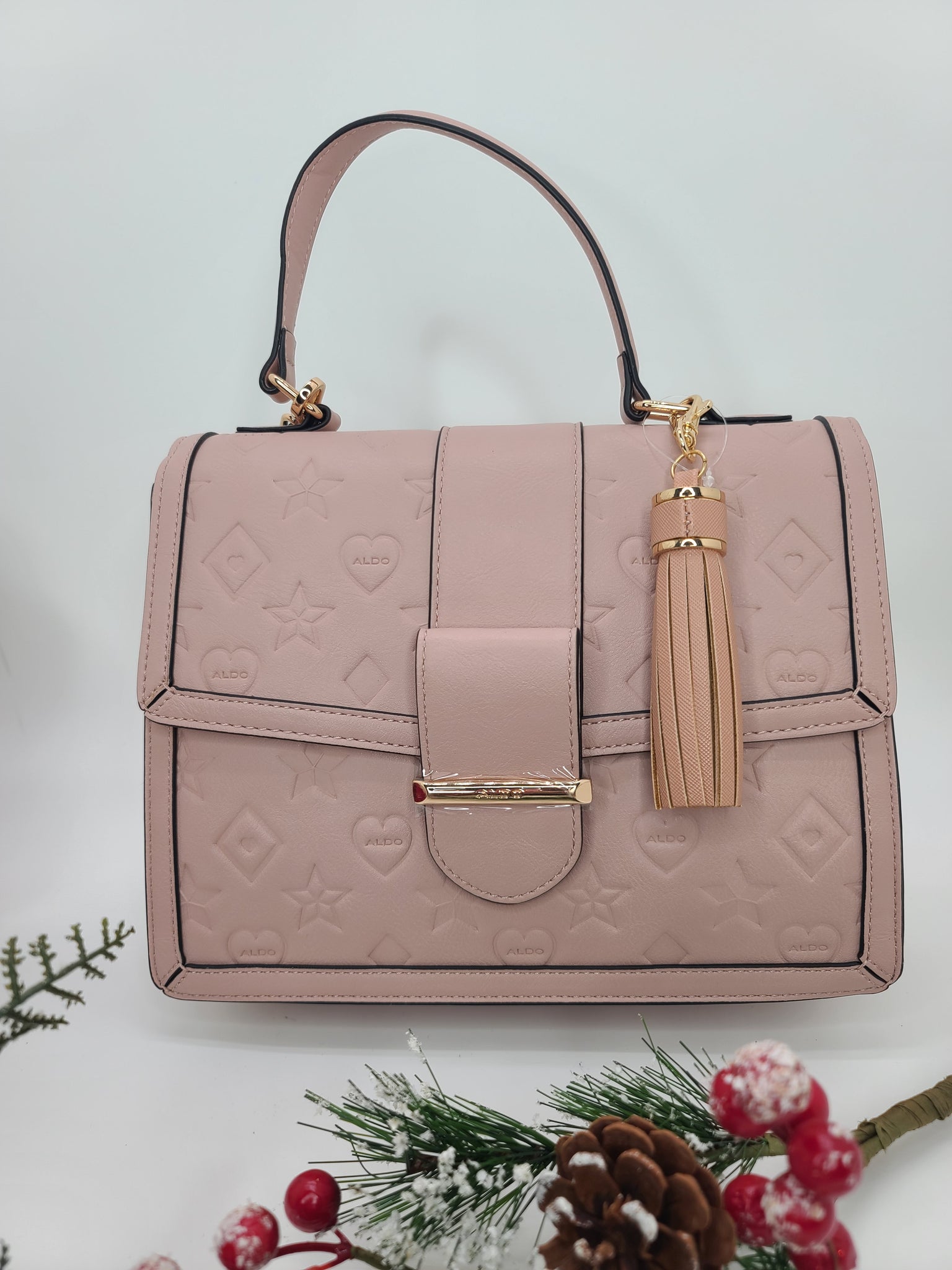 ALDO Crossbody