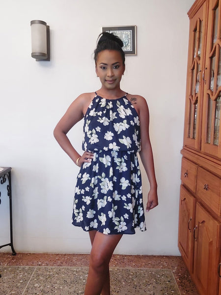 Lined Dobby Printed Dress