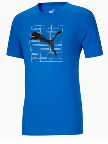 PUMA Mens' Logo Tshirt (XL)