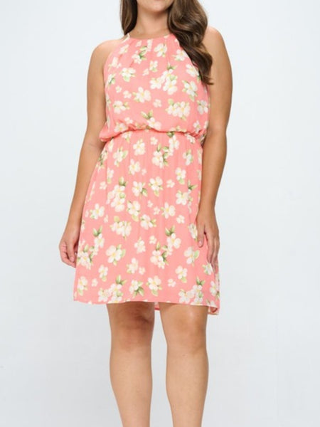 Lined Dobby Printed Dress -2