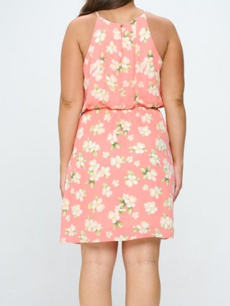 Lined Dobby Printed Dress -2